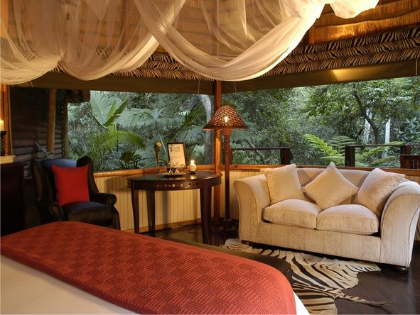 Serenity Forest Eco Reserve - Private Lounge